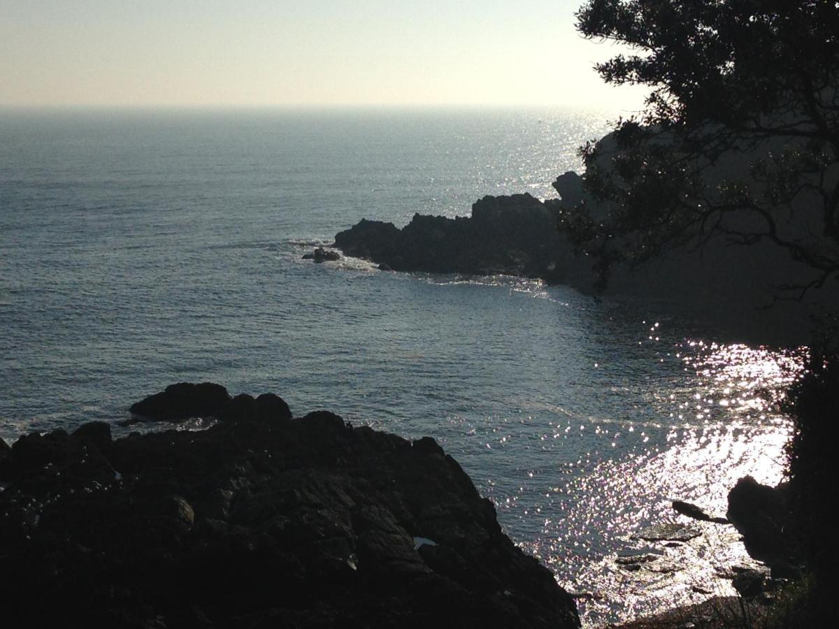 Bay View, Millendreth Looe Cornwall别墅 外观 照片